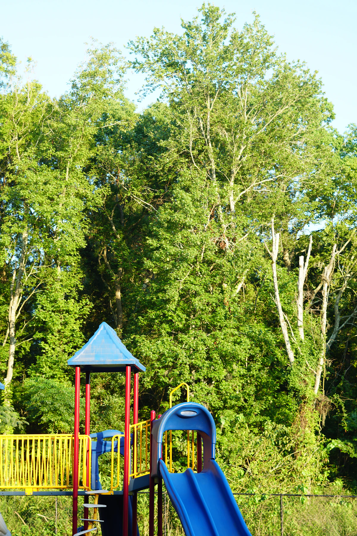 Naturnaher Spielplatz im Garten der Kita